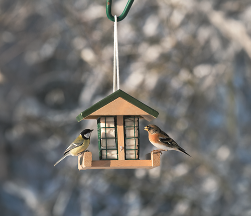 Twee vogels zitten op een vetblokhouder en eten van het vetblok.