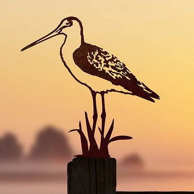 987100119_-_Black-tailed_Godwit-Low-Res-1