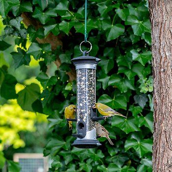 Voedersilo in boom met verschillende vogels die er op zitten