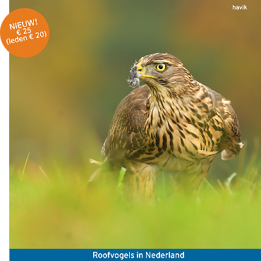 Cursus roofvogels