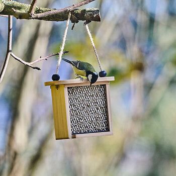 112180119_CJ_Vegan_Suet_Pellets_1kg_JD_03