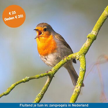 Cursus fluitend je tuin in