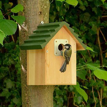 Koolmees op Vogelbescherming nestkast