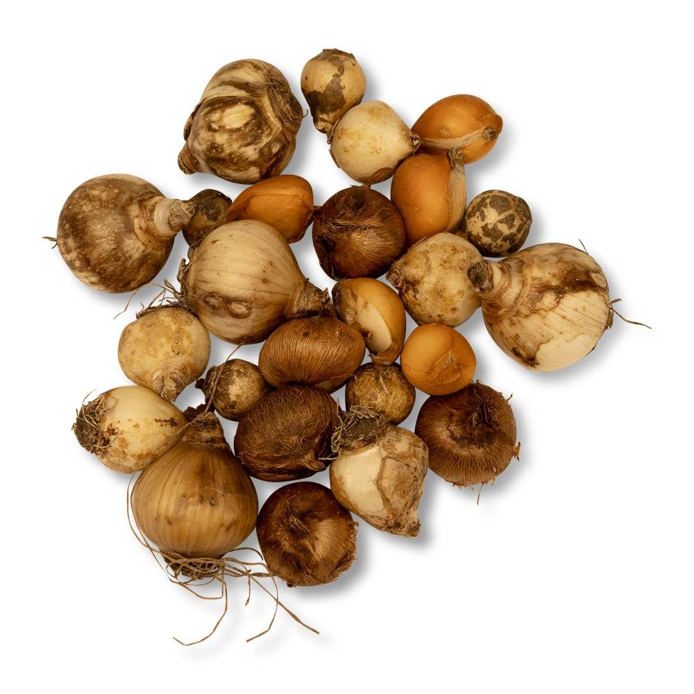 821760119_Biologische_Bollenmix_Kleine_Tuin_RK_06