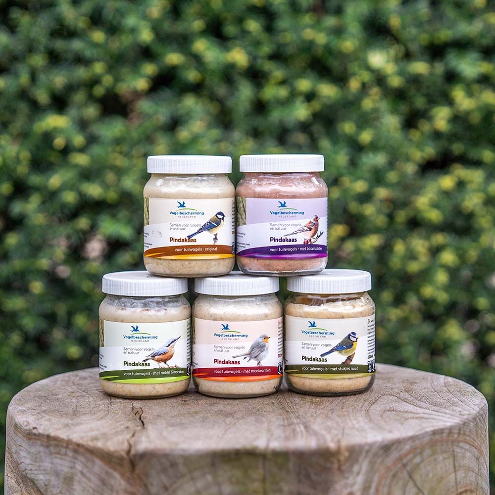 101900175-101910175-101750175-102610175-101770175-VBN-Peanut-Butter-SW-Sem-04675