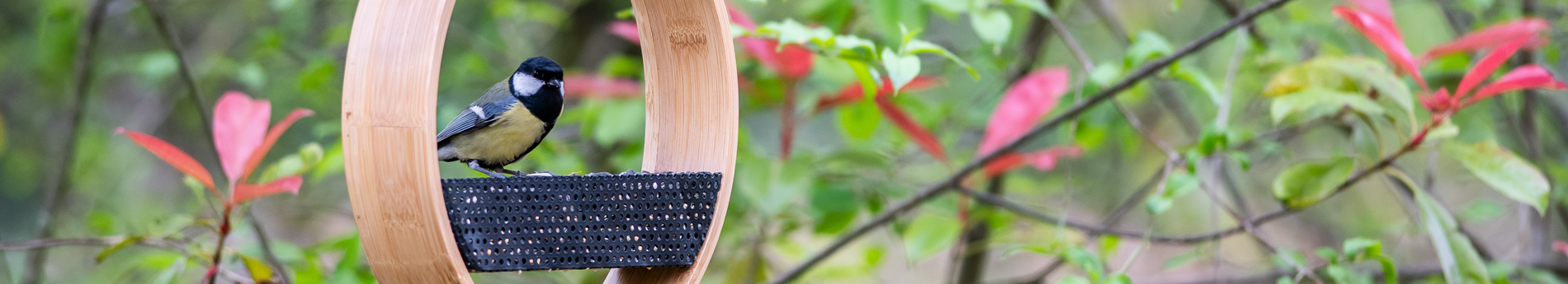 300270119_-Bamboo_Feeder_with_metal_tray-EDR-Evy-8419_dekstop