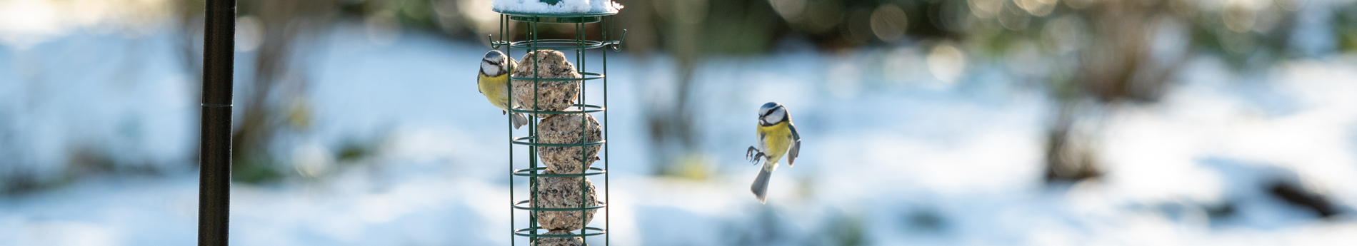 350990120_-_Fat_Ball_Holder_Green_-_QM-5714