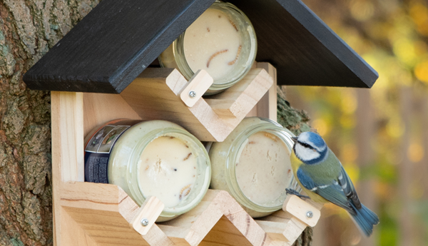 Vogelpindakaas van Vogelbescherming