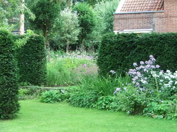 Een mooie groene tuin