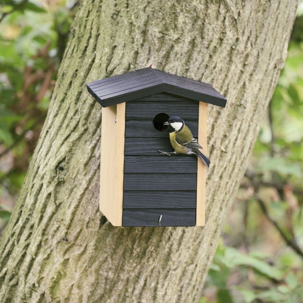 90939_Alura_Jet_Nestbox_black__RK_15