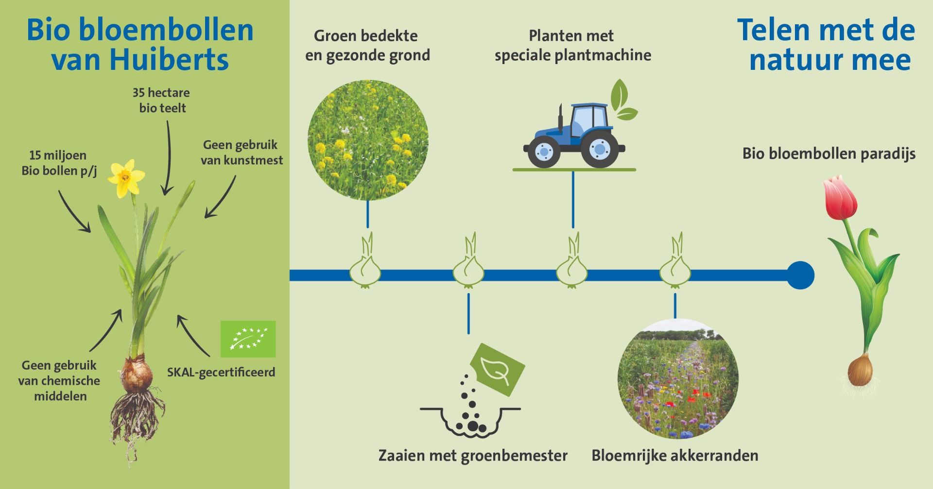 Informatie over biologische bloembollen