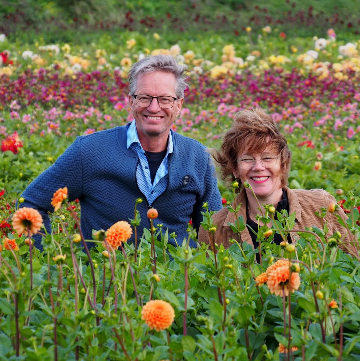 Huiberts bloembollen