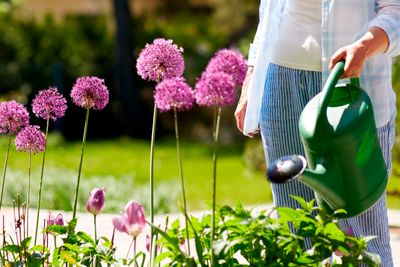 Biologische planten krijgen water