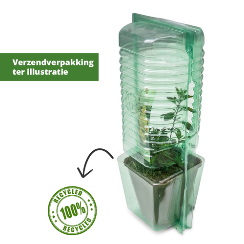 Verzendverpakking van planten