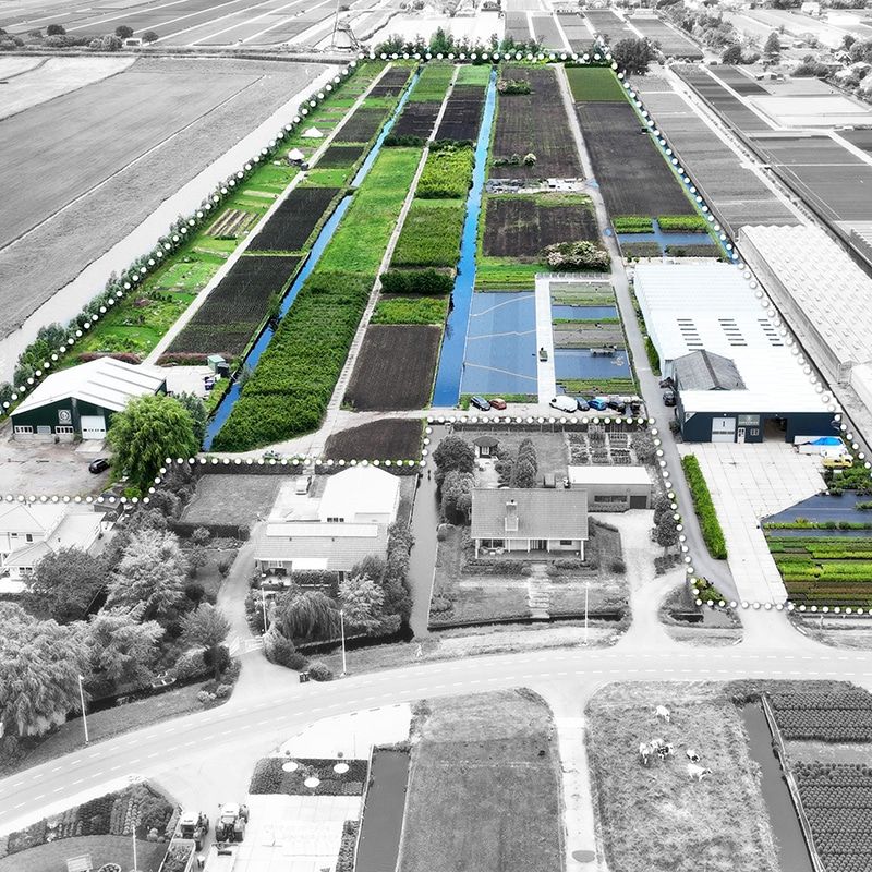 Luchtfoto-koperwiek