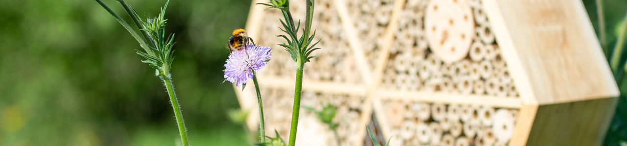 921060190-NM_Insecthotel-Suraj-DV_3052-dekstop