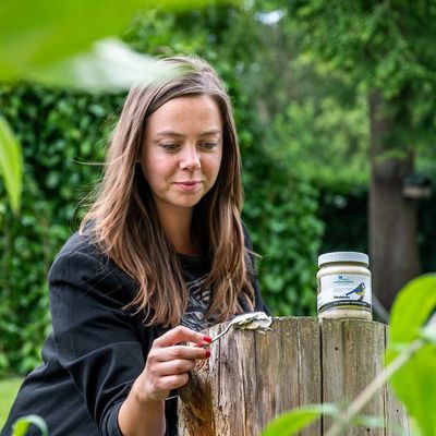 Persoon smeert vogelpindakaas op een boomstam