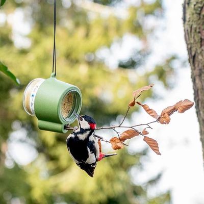 Vogelpindakaas houder aan een boom
