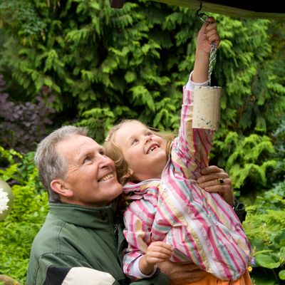 Vogels voeren Vogelbeschermingshop - Nationale Tuinvogeltelling