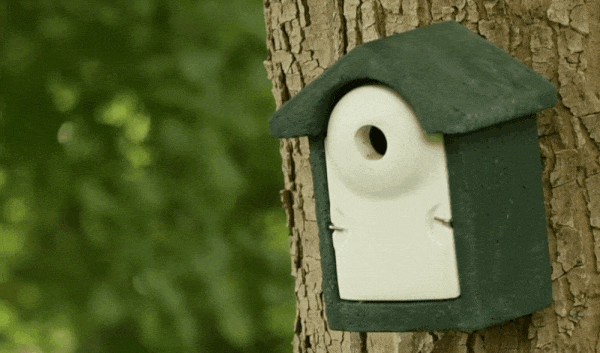 Houtbeton nestkast tegen de boom