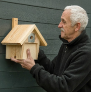 Persoon hangt een nestkast aan de muur