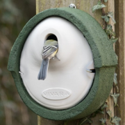 Een vogeltje in de opening van een Woodstone nestkast