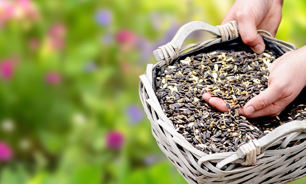 Biologisch vogelvoer