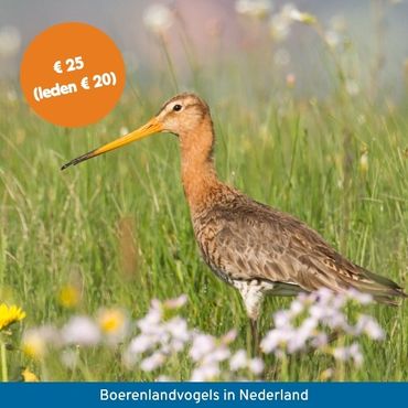 Cursus boerenlandvogels in Nederland