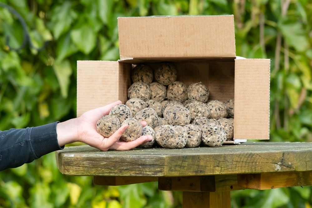 Een doos vol met vetbollen (50 stuks)