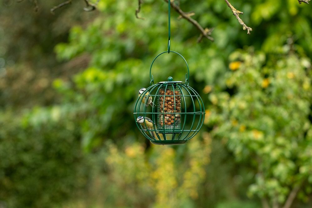 London pindasilo met twee vogeltjes erop