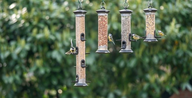 Kool- en pimpelmezen op vogelvoedersilo's