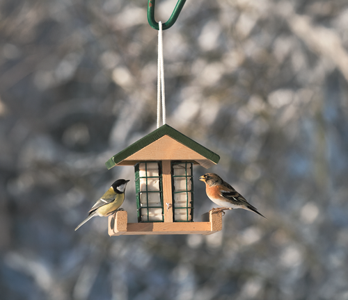 Twee vogels zitten op een vetblokhouder en eten van het vetblok.