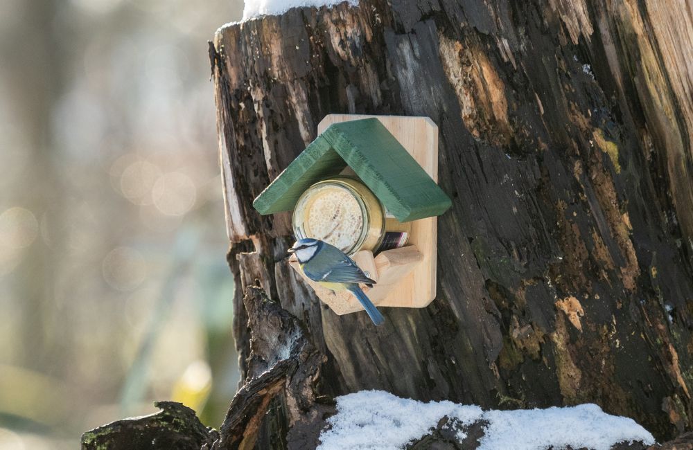 Vogeltje op een pindakaaspothouder
