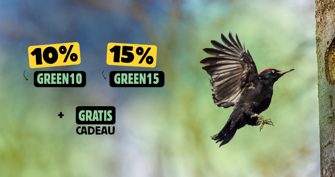 VBN_Landingpage_Mobile_1_