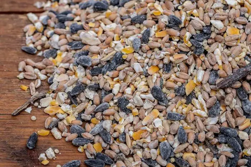 Bio-vogelvoer zadenmix