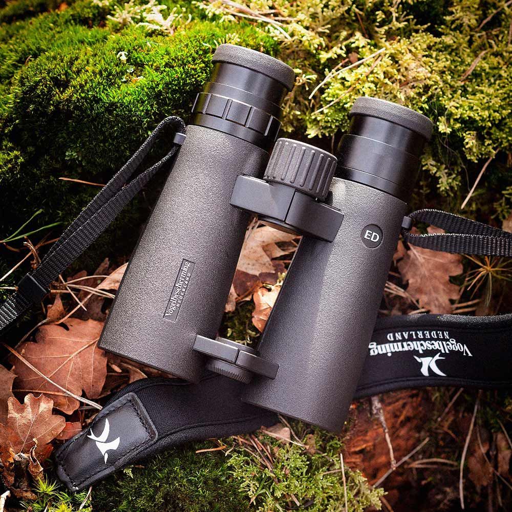 Arend verrekijker van de Vogelbeschermingshop