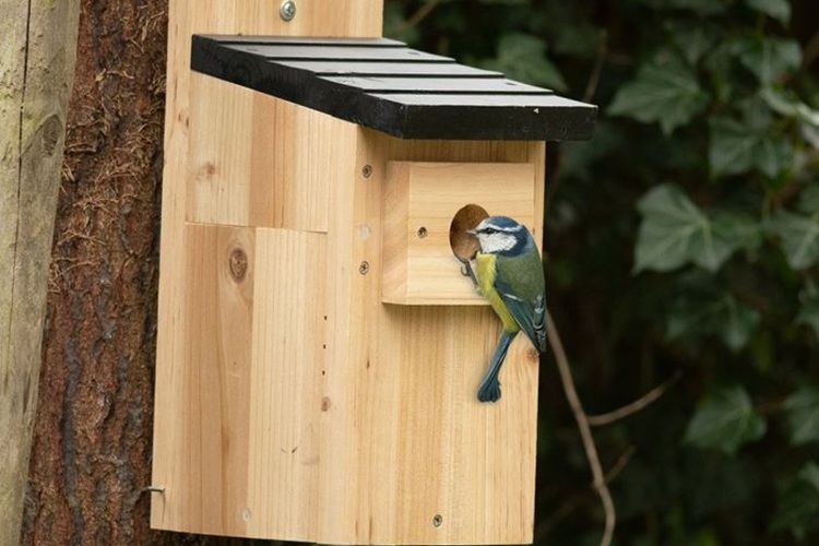 Houten nestkast/vogelhuisje