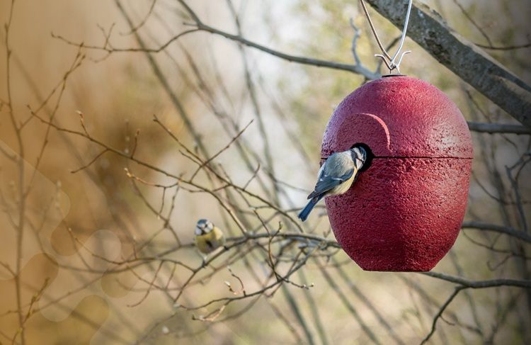 Nestkast van houtbeton in een boom
