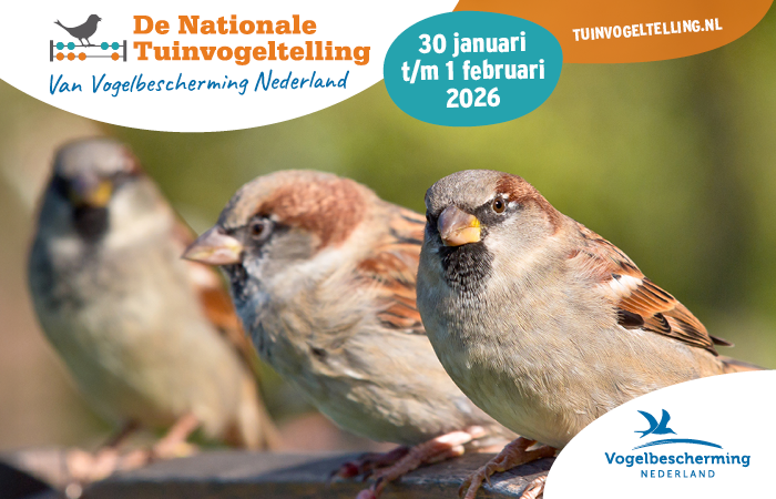 Tuinvogeltelling banner