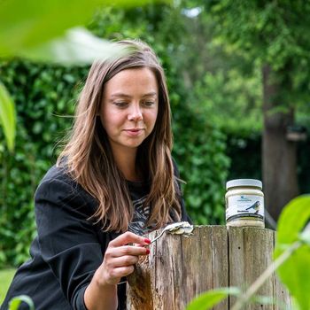 Vogelbescherming vogelpindakaas