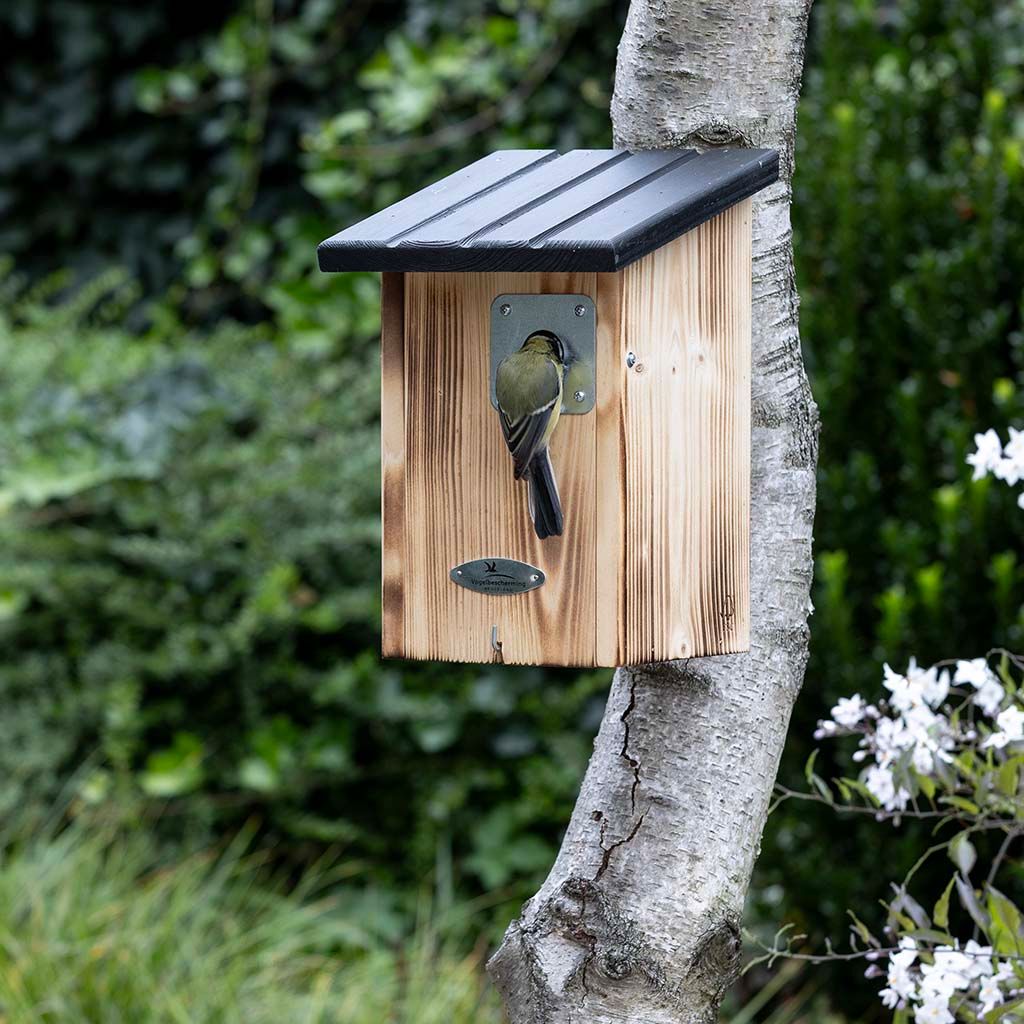 909840475_VBN_Arlington_Nest_Box_28mm_RK_12