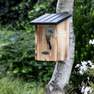 Koolmees op Vogelbescherming nestkast