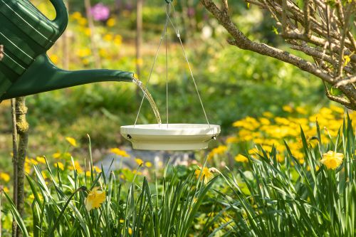 Hangende waterschaal die wordt gevuld
