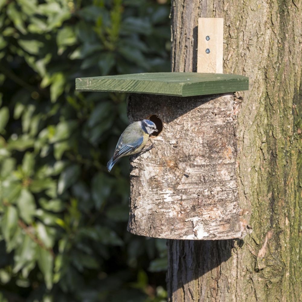 PHOTO-594 Birch Log Nest Boxes 28, 32, 34 mm
