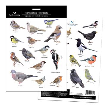 Raamstickers tuinvogels