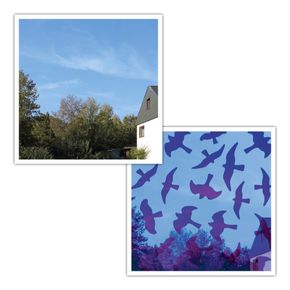 Birdsticker - raamstickers