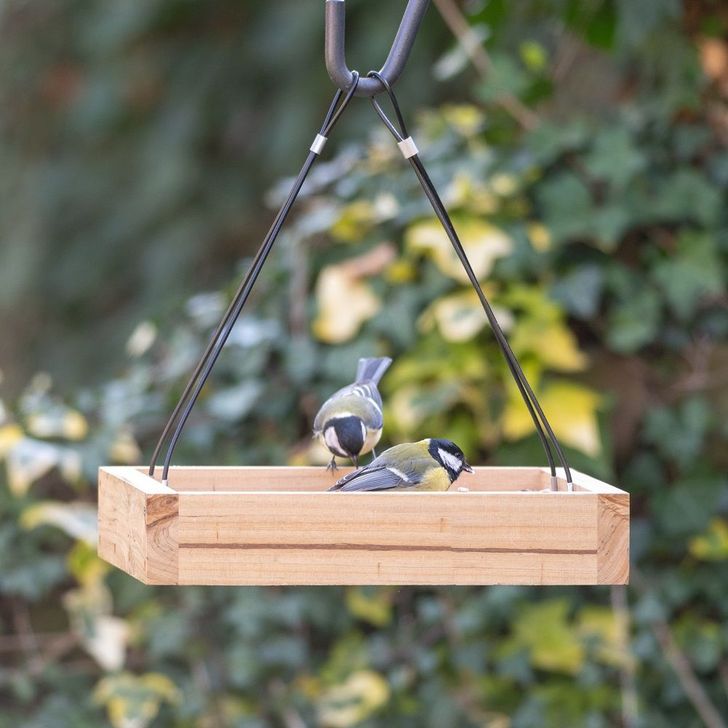 Hangende voedertafel Aarhus