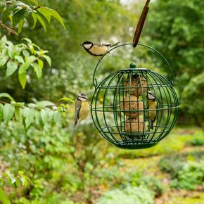 Vetbollenhouder London