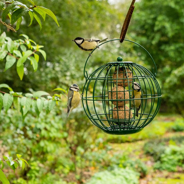 Vetbollenhouder London