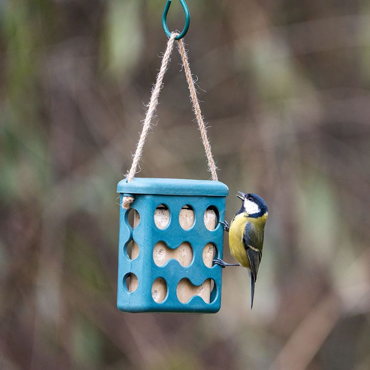 Vetblokhouder Rome - Blauw